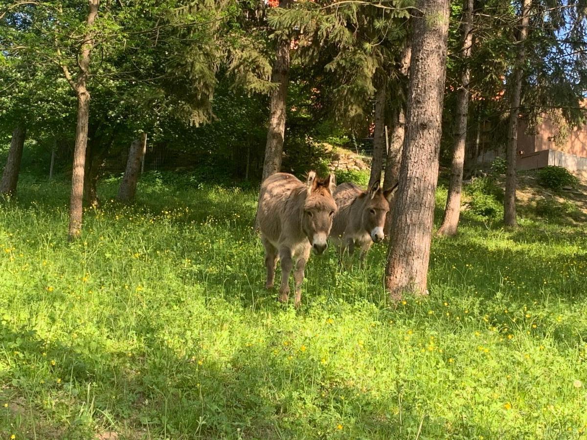 Agriturismo La Mussia Castelnuovo  Eksteriør billede