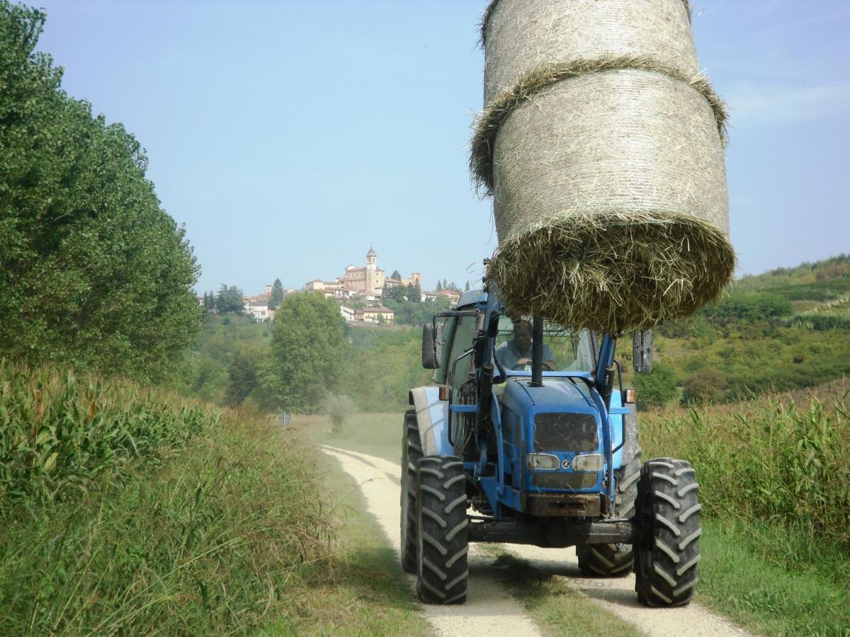 Agriturismo La Mussia Castelnuovo  Eksteriør billede