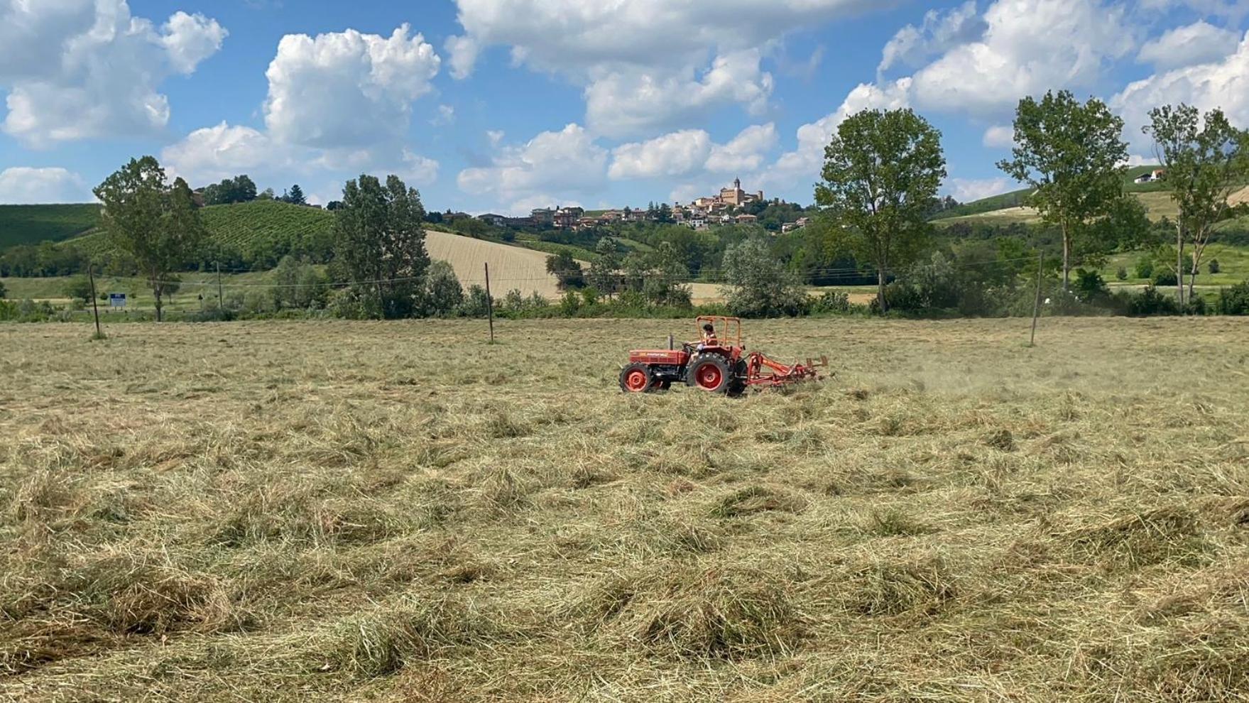 Agriturismo La Mussia Castelnuovo  Eksteriør billede